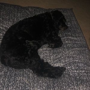 Meet your Posher, Kaylea